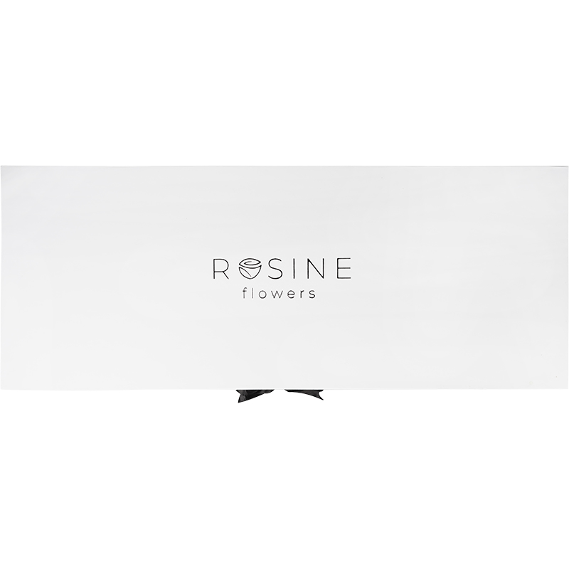 Shakhzoda - Görsel 3